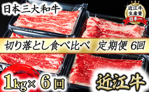 【定期便】全6回　A5 近江牛切り落とし食べ比べ 　250ｇ×4ｐ