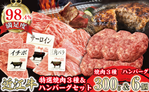 特撰近江牛おすすめ部位　焼肉3種300ｇ＆近江牛生ハンバー