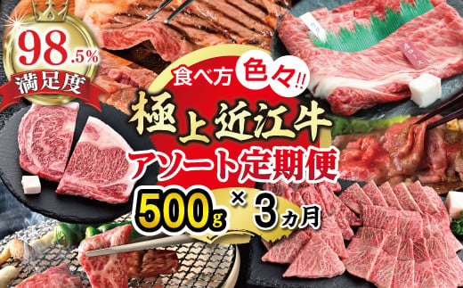 【期間限定】極上近江牛500g　食べ方色々！アソート定期便