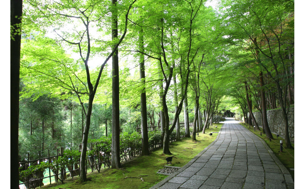 京都しょうざん おせち料理「春華」一段（滋賀県草津市で製造）