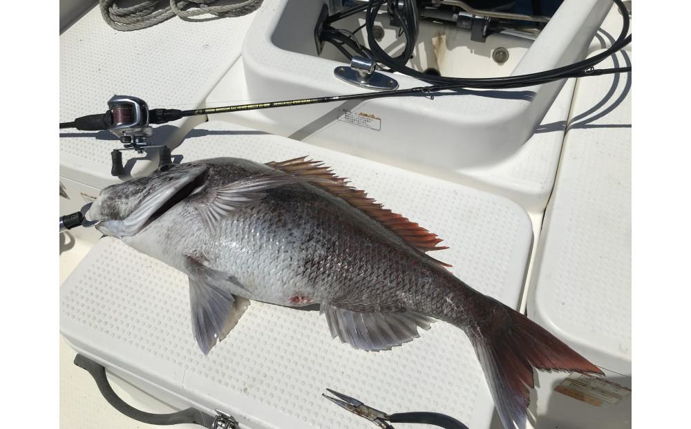 Wakasa Monster WM-TR B72MH-SOLID / 2PS OFFSHORE MODEL（ワカサモンスター）