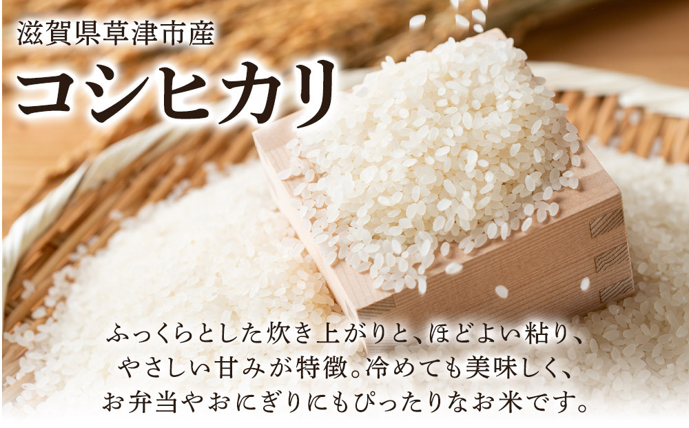 令和7年産　近江米コシヒカリ（白米）5kg×4　計20kg
