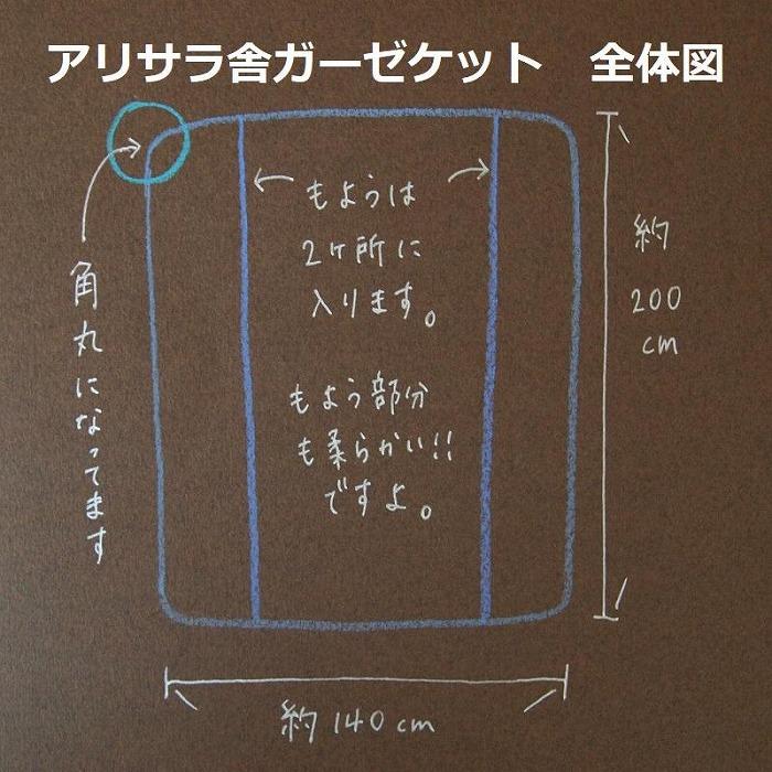 アリサラ舎の大人のガーゼケット　びわ湖ブルー