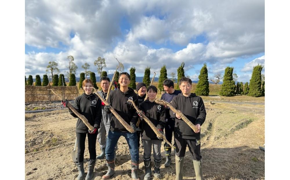 【2026年2月より順次発送】自然薯 すりおろし 冷凍 50g×5パック