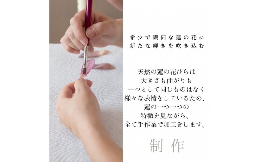 天然の蓮の花びらがはいったピアス