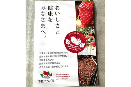 苺三種の宴・特選品 (紅ほっぺ・幸の香・みおしずく)  (各9玉～18玉入化粧箱・400ｇ以上)×3箱 下笠いちご園