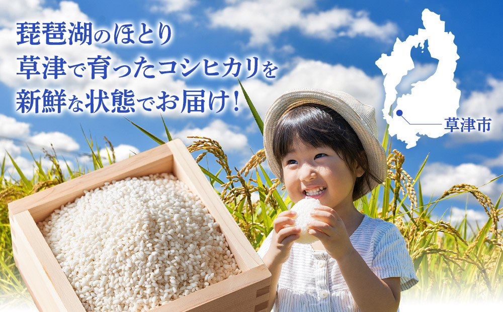 令和7年産　近江米コシヒカリ（玄米）5kg