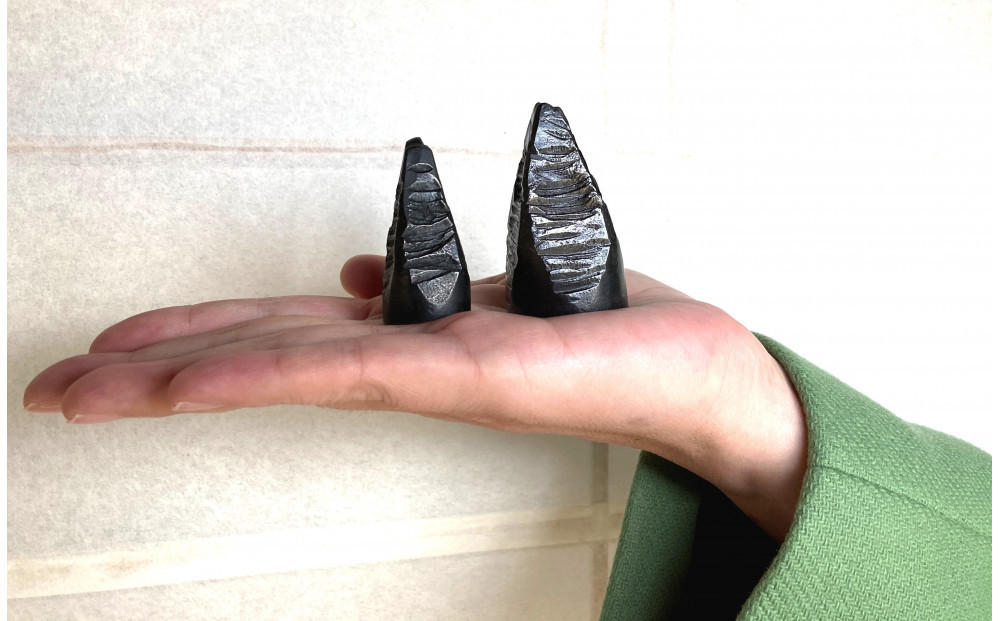 刀鍛冶謹製　たけのこ鋼文鎮