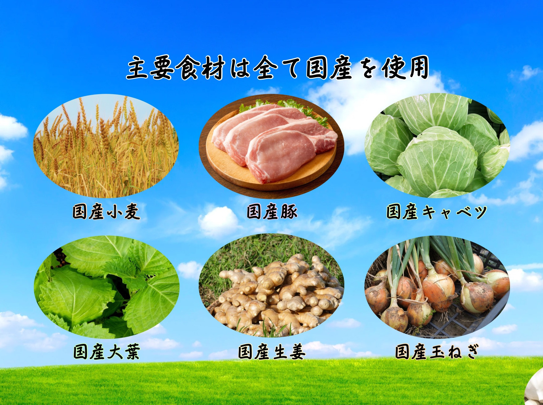 餃子 手包み大葉餃子 25個入り 餃子屋はまだ