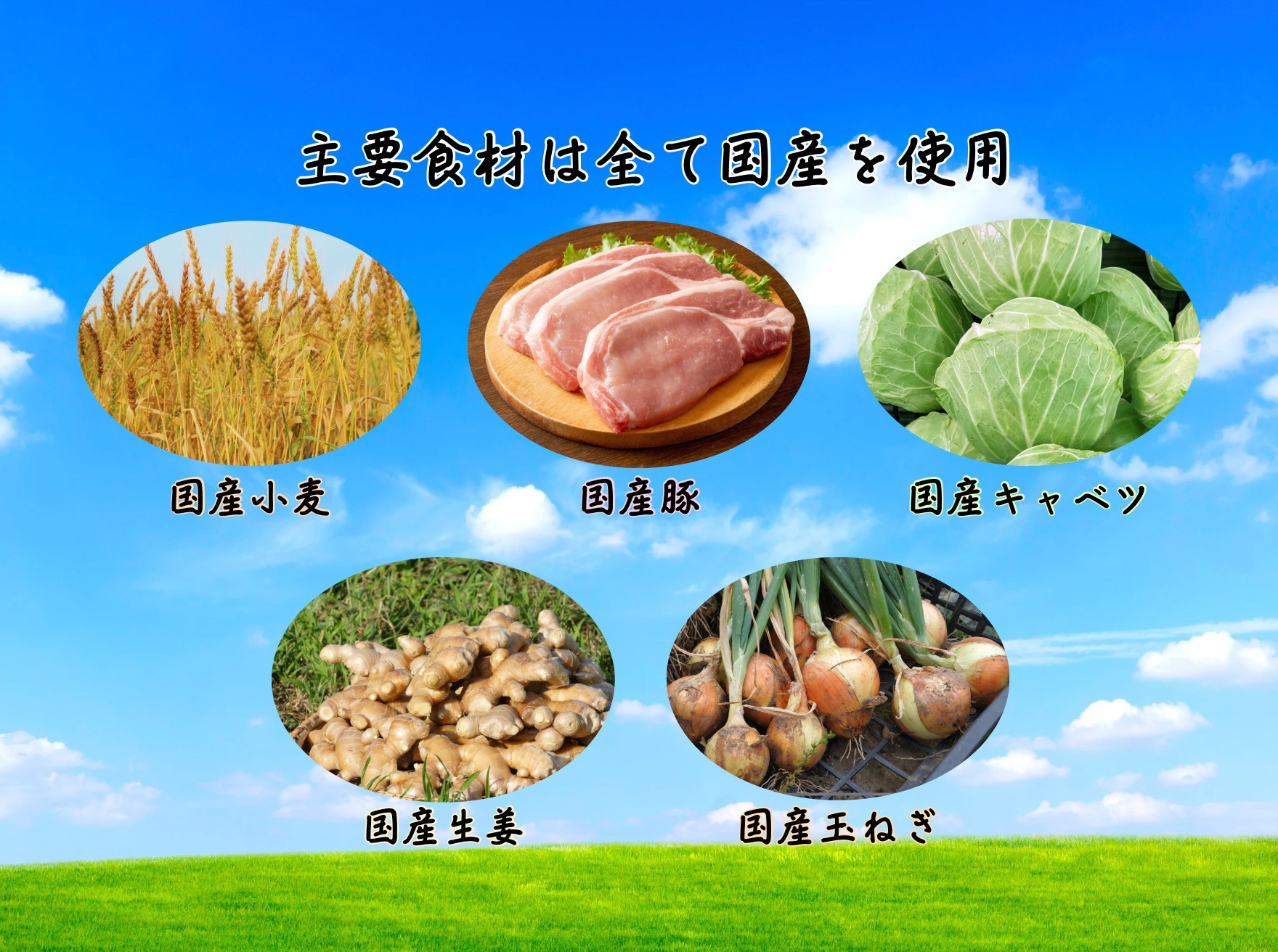 餃子 手包み生姜餃子 25個入り 餃子屋はまだ