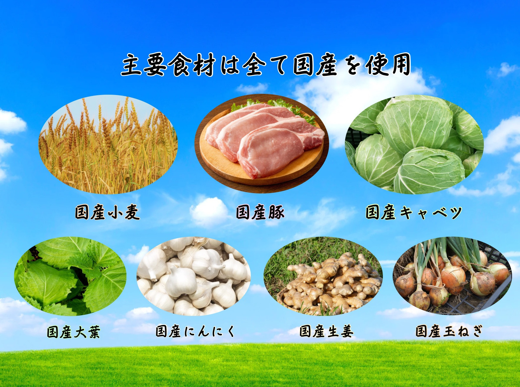 餃子 手包み餃子 Sパック 3種セット 合計36個 餃子屋はまだ