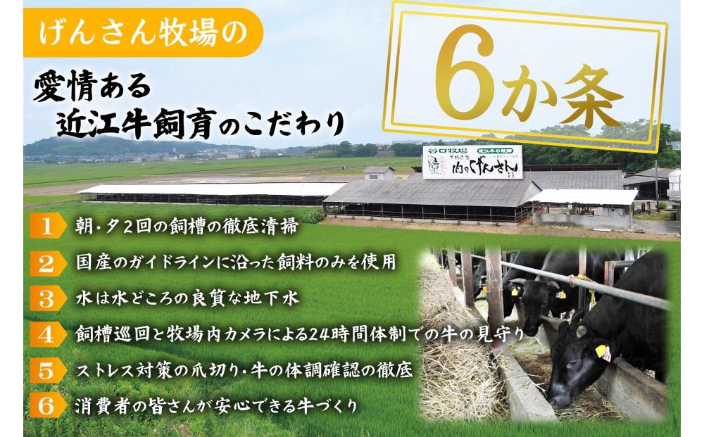 近江牛 A5ランク 切落し 700g