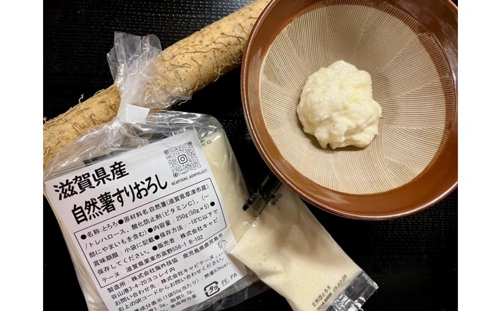 【2026年2月より順次発送】自然薯 すりおろし 冷凍 50g×5パック