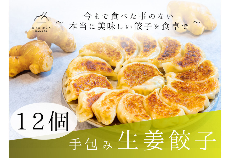 餃子 手包み生姜餃子 Sパック 12個入り 餃子屋はまだ