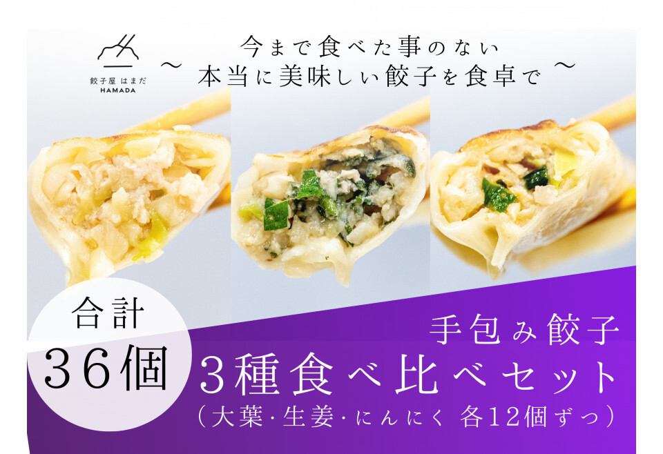 餃子 手包み餃子 Sパック 3種セット 合計36個 餃子屋はまだ