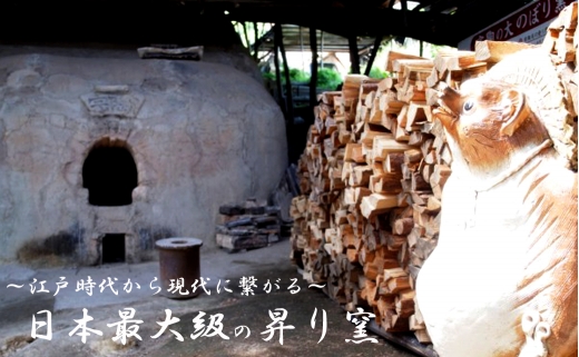 大登り窯で焼く 陶芸手ひねり狸作り体験ペアチケット