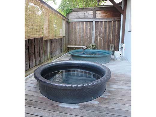 宮乃温泉 旅館宿泊券（平日・日曜）