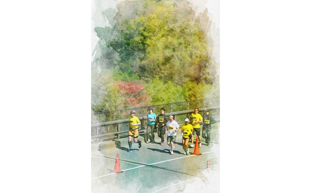 マラソン 出走権 「2025あいの土山マラソン」