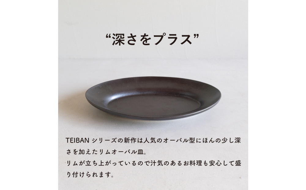 【信楽焼・明山】リムオーバル皿 L（とび茶）s18-di19-A3