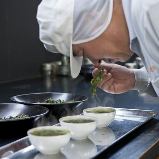 日常茶におすすめ 茶銘 近江路 1kg 【約333杯分】