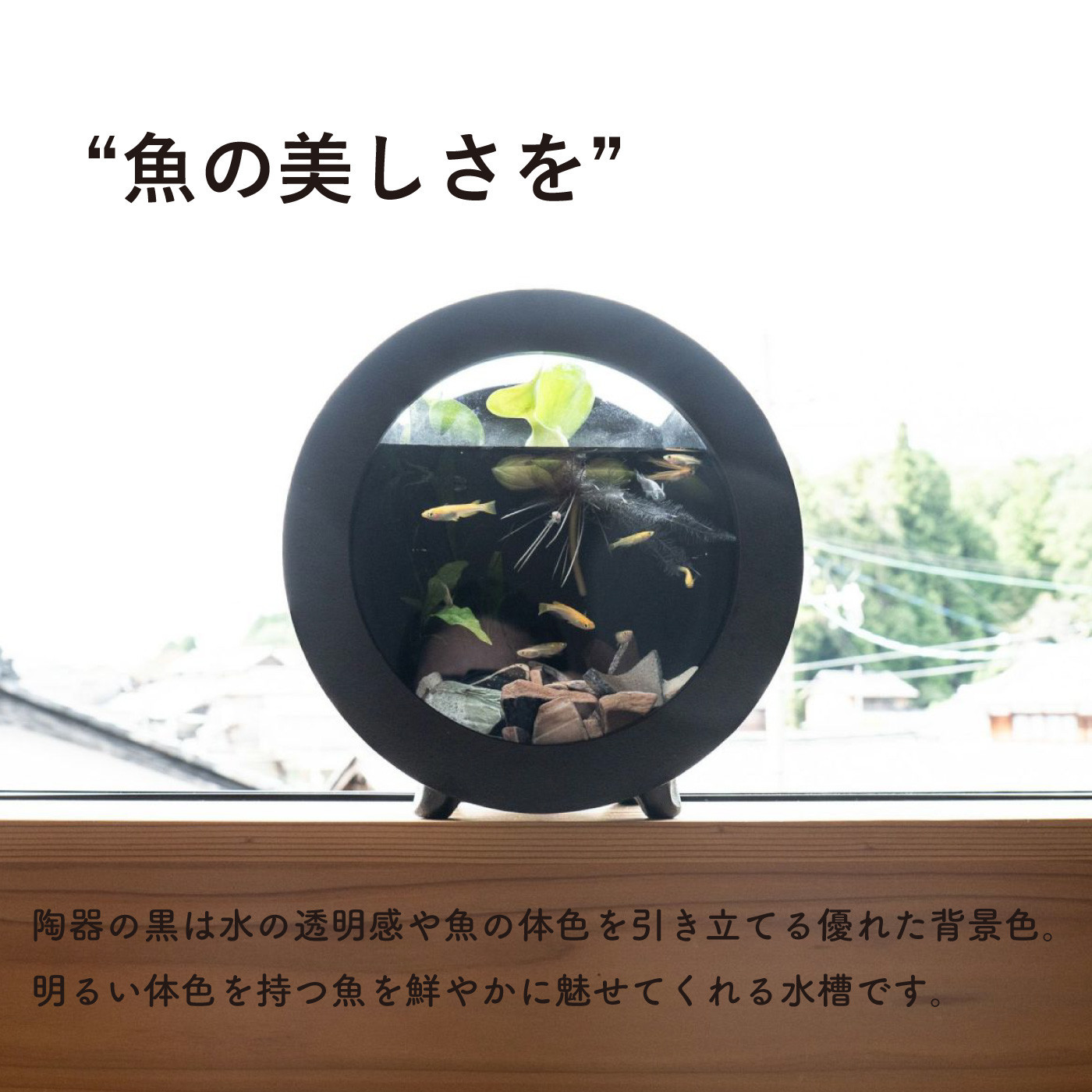 【信楽焼・明山】丸水槽・中（黒）aqua-01s