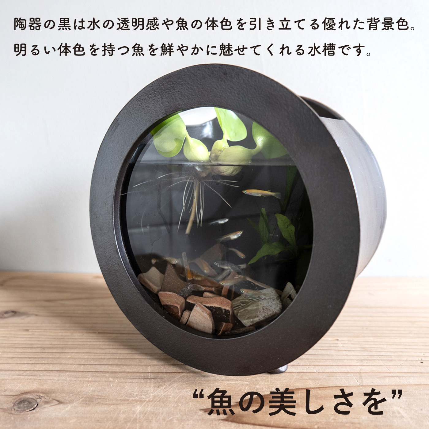 【信楽焼・明山】丸水槽・小（黒）　aqua-03s