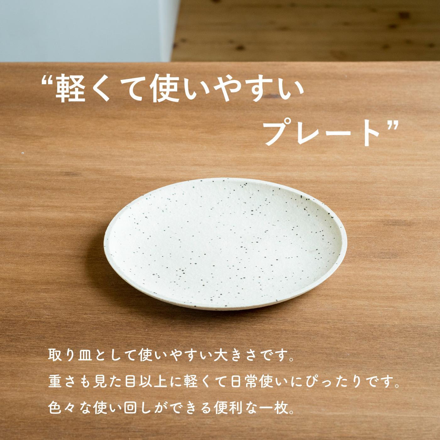 【信楽焼・明山】GRAIN WARE　MIKAGE PLATE　2枚セット　ac-12