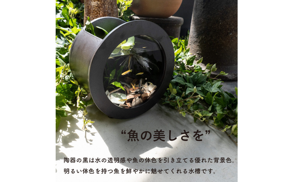 【信楽焼・明山】丸水槽・大（黒）aqua-06s