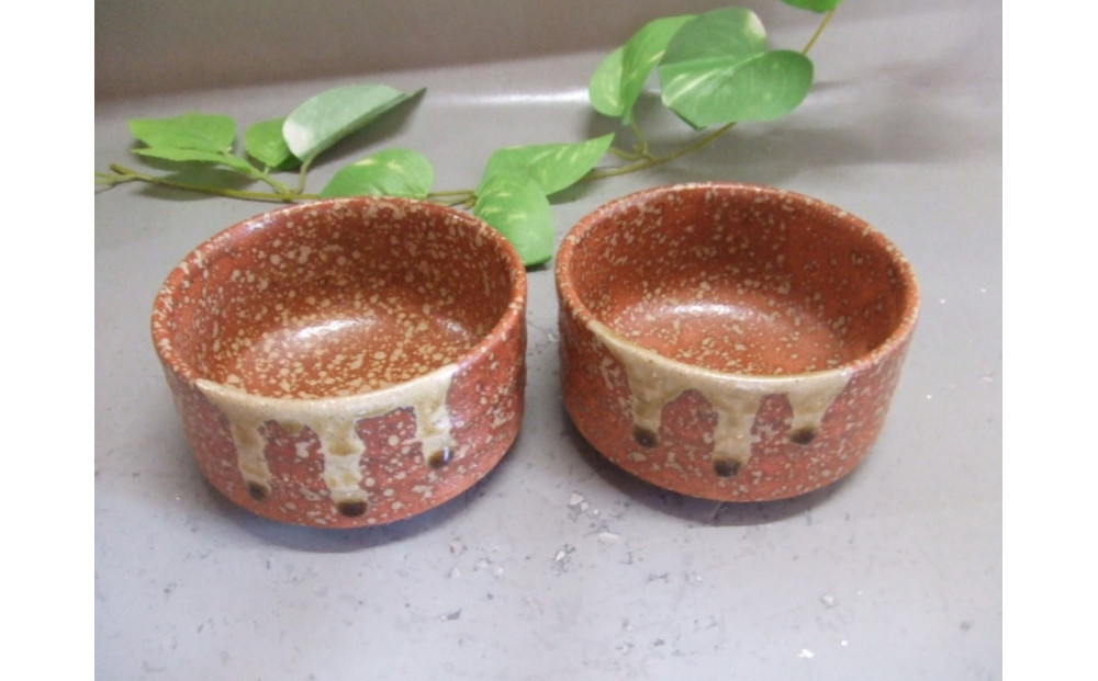 【信楽焼】緋色小鉢2個セット うつわ　　　nwu-029