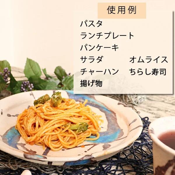 信楽焼 碧水パスタ皿 ワンプレート皿