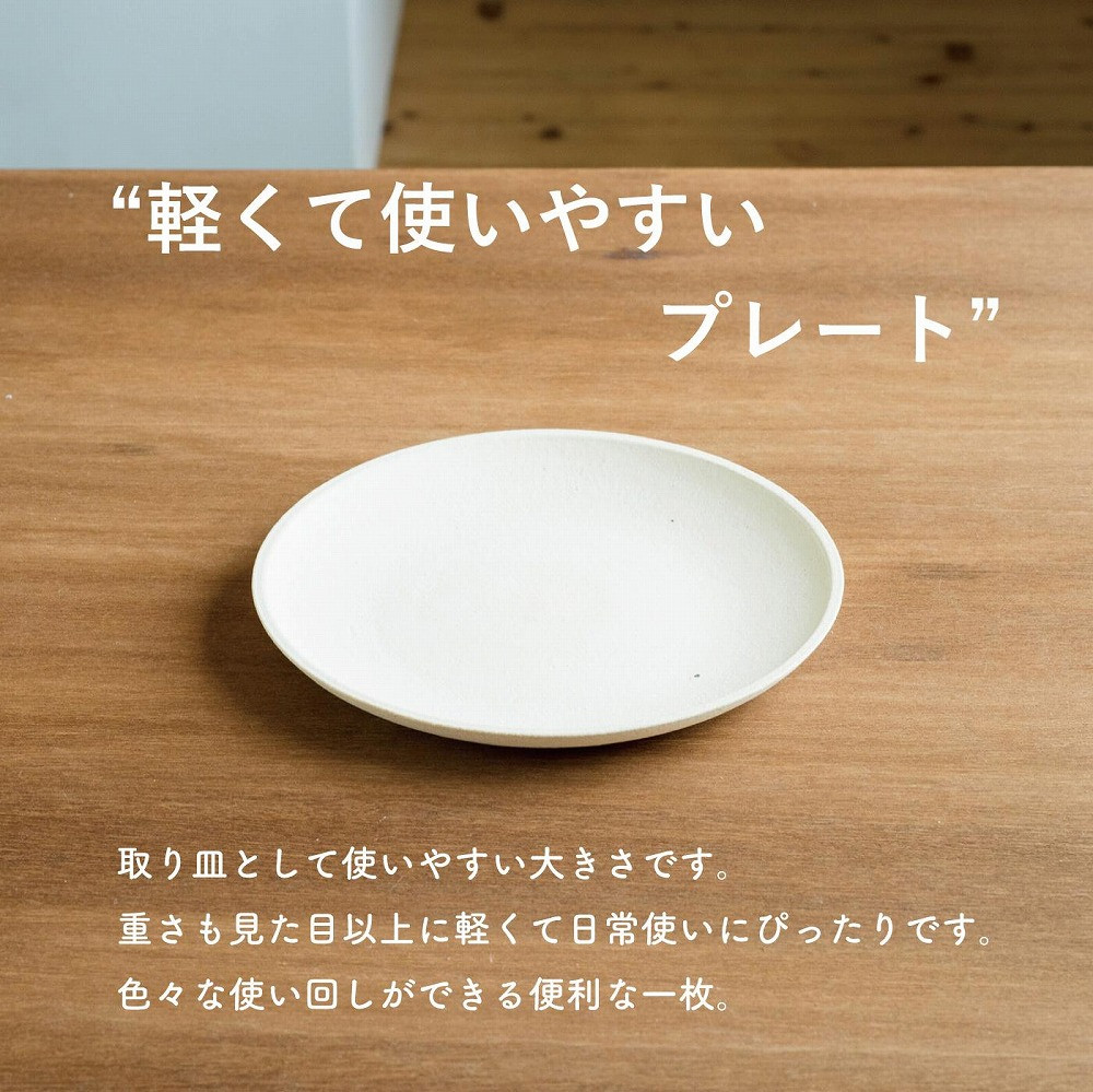 SHIROTSUCHI PLATE 2枚セット ac-10　GRAIN WARE 【信楽焼・明山】
