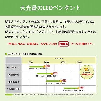 ホタルクス LED洋風ペンダント照明(～６畳） HCDA0651-X
