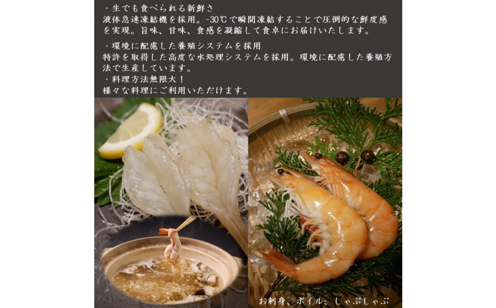 甲賀水晶えび 200g × 2パック