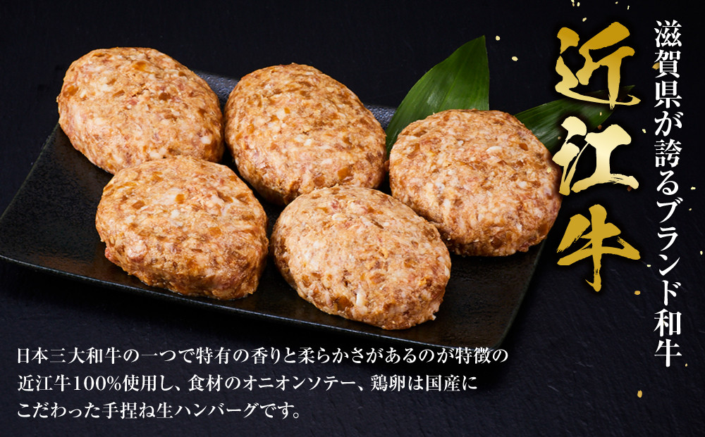 近江牛 生ハンバーグ 120g×5個入