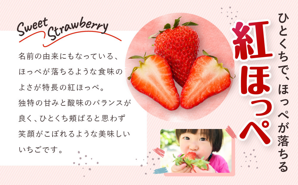 いちご　紅ほっぺ　約1kg（250g×4パック）