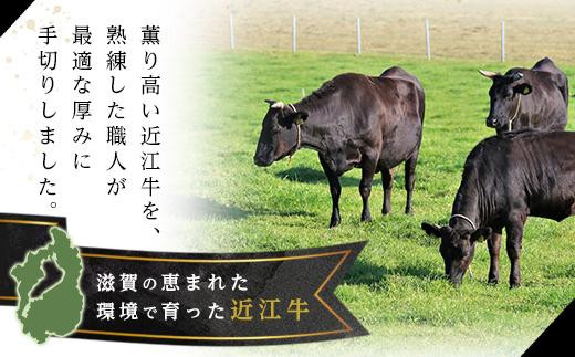 【12/10までの決済完了で年内発送】近江牛ヒレステーキ 750g（4～5枚）