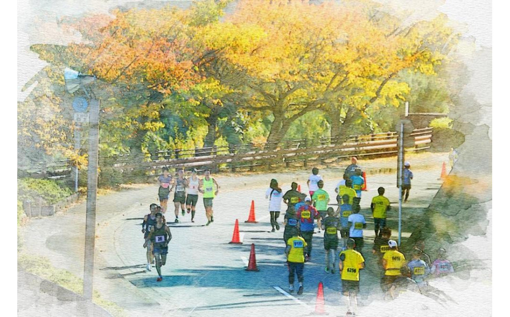 マラソン 出走権 「2025あいの土山マラソン」