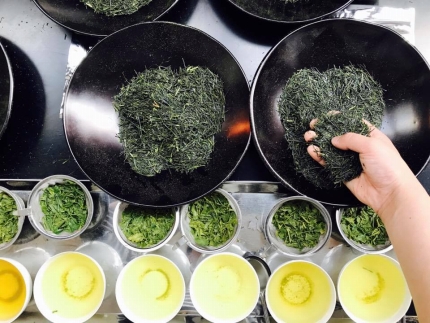 滋賀県産【合計1kg日常茶セット 煎茶・くき茶・玄米茶】