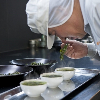 滋賀県産 【はね出し玉露の茎茶】 100g×5 合計約166杯分