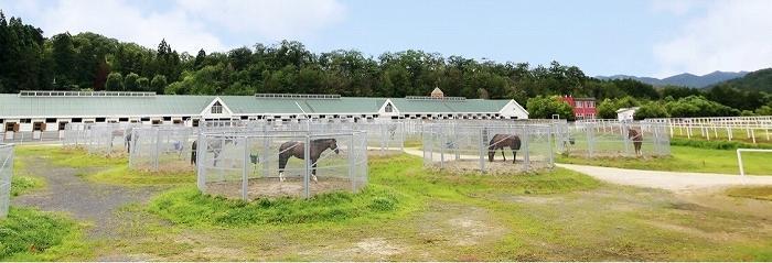 乗馬体験ご優待券
