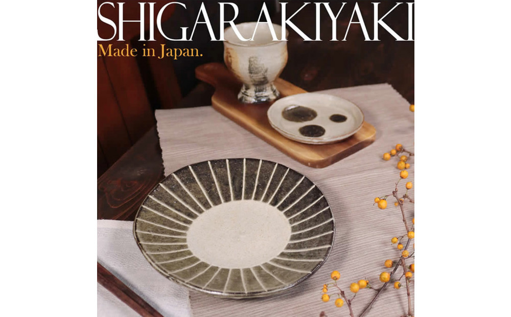 信楽焼 山逢いシリーズ たわみパスタ皿（大） 陶器 【一珍】