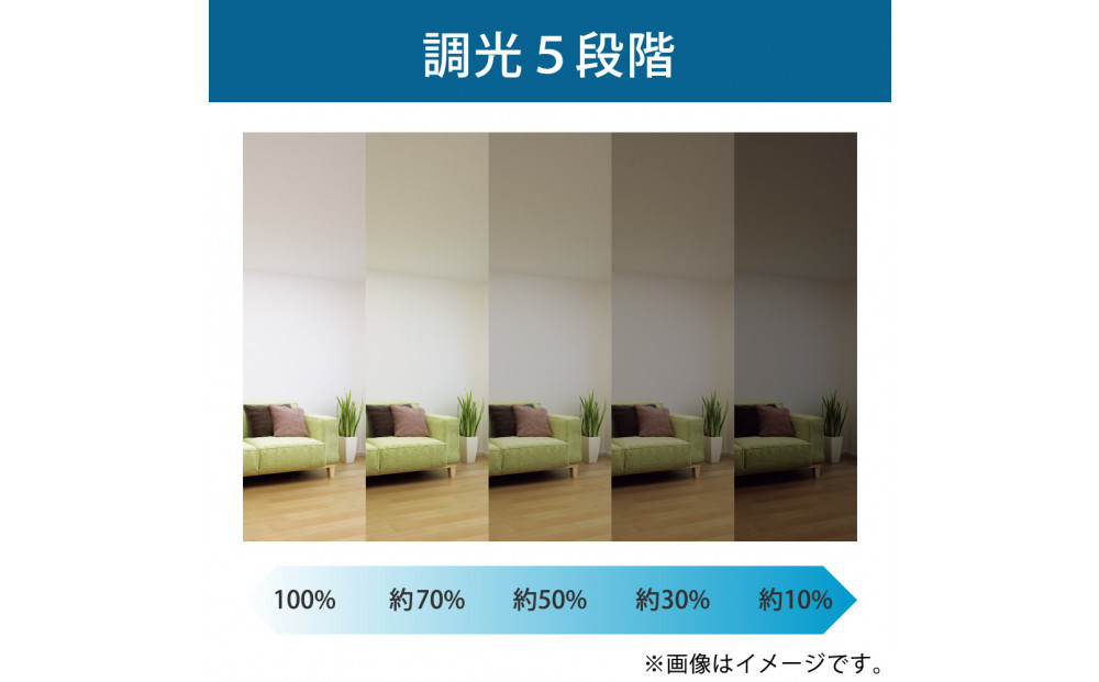 ホタルクス LEDシーリングライト（～6畳） HLDZ06403SG