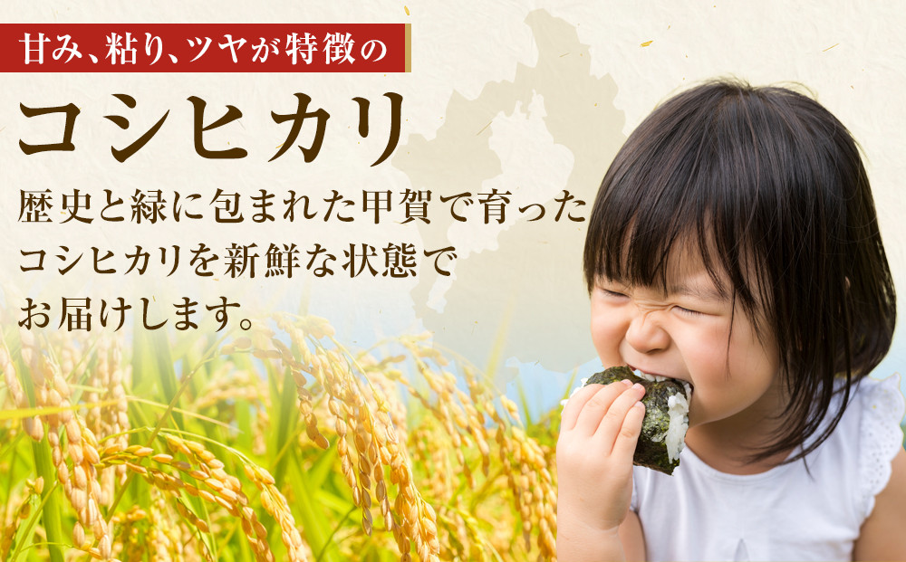 【令和7年産】近江米コシヒカリ白米10kg