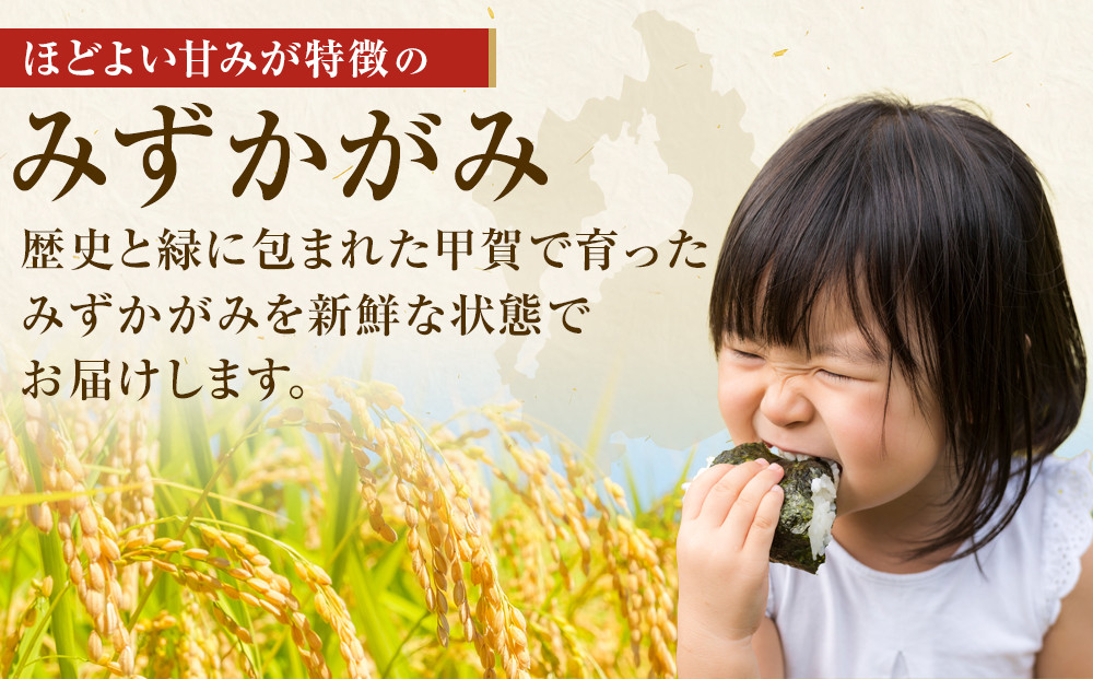 【令和7年産】近江米みずかがみ白米10kg（5kg×2袋）