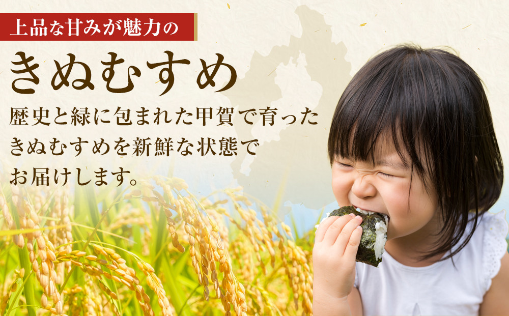 【令和7年産】近江米きぬむすめ白米5kg