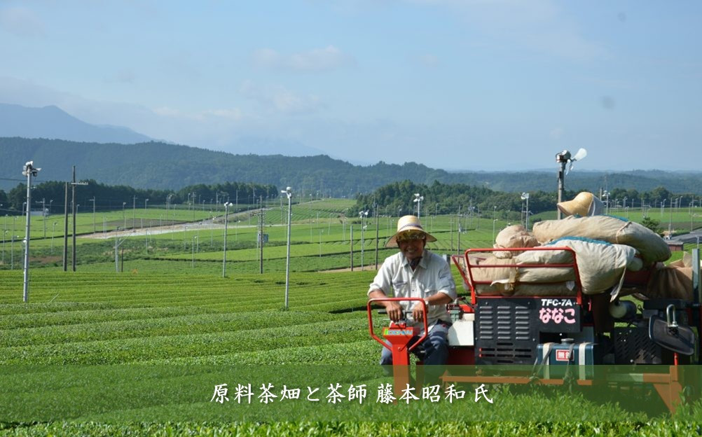 滋賀県産朝宮ほうじ茶使用 泡立つ ほうじ茶ラテ1kg【約66杯分】
