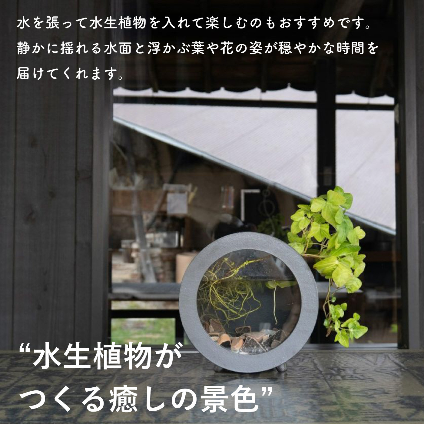 【信楽焼・明山】丸水槽・中（黒）aqua-01s