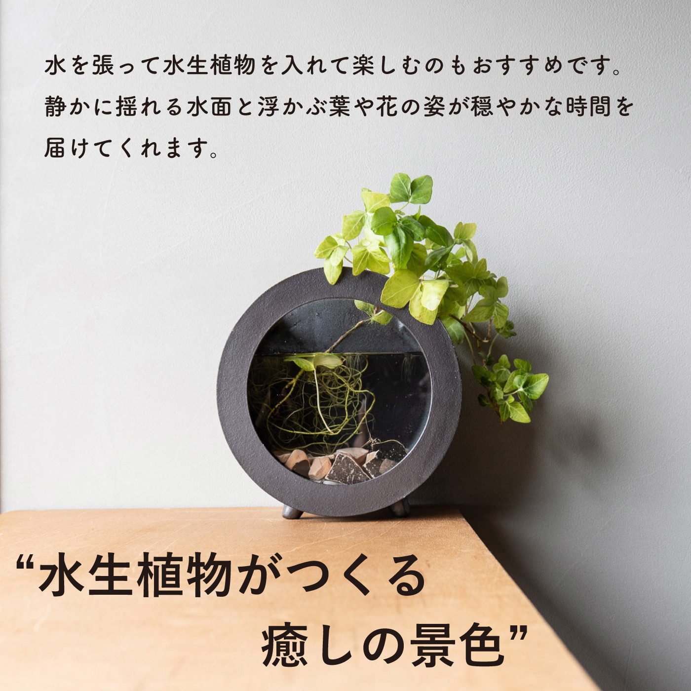 【信楽焼・明山】丸水槽・小（黒）　aqua-03s