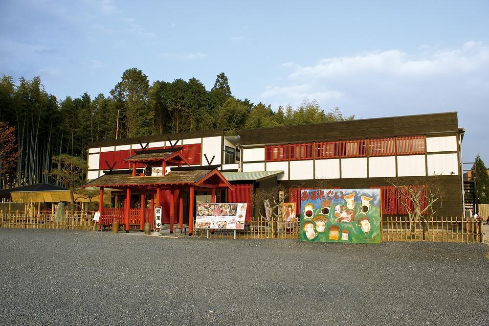 名物あばれ食いお食事券　2枚