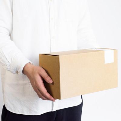 【信楽焼・明山】こいのぼり-KOINOBORI-五月人形セット　iwai-k05